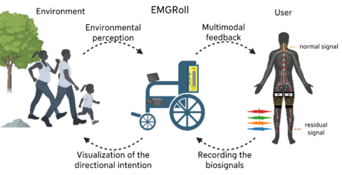 Towards entry "N-Squared Lab: Empowering Independent Wheelchair Use with EMGRoll"